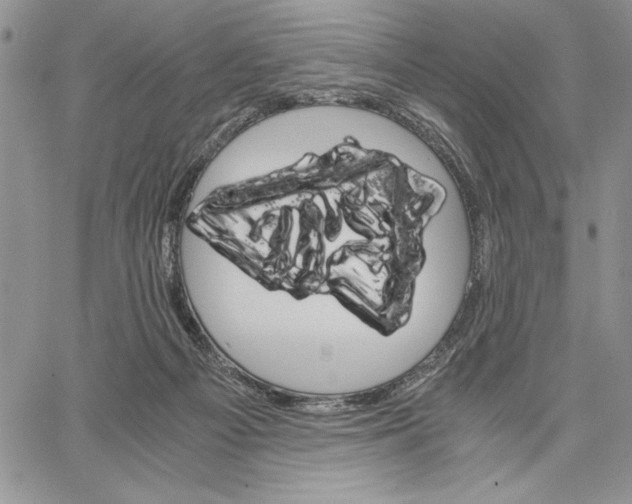 X0000062870121200602031726