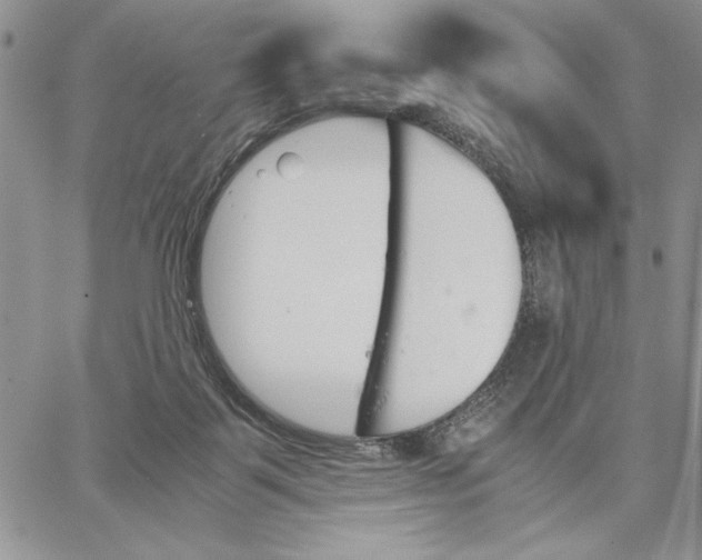 X0000062870123200602031726