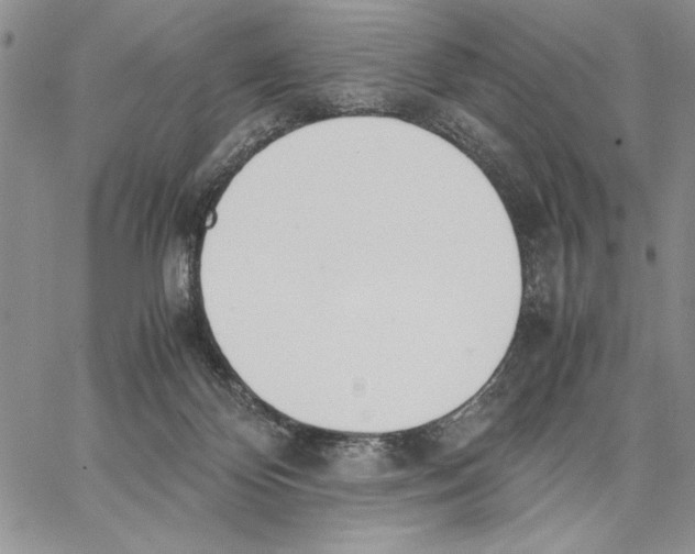 X0000062870124200602031726