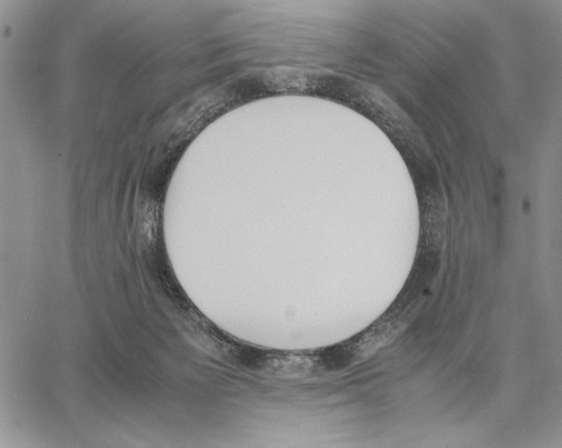 X0000062870125200602031726