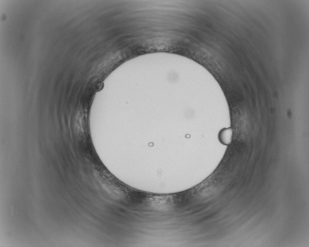 X0000062870126200602031726