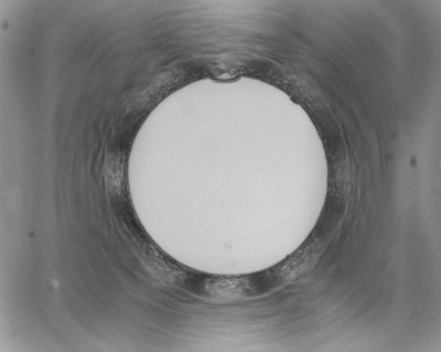 X0000062870129200602031726