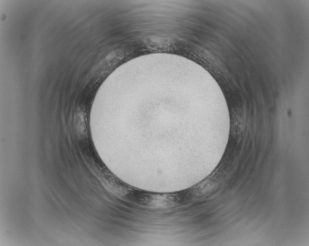 X0000062870130200602031726