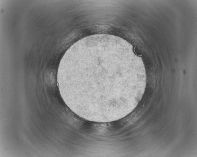 X0000062870131200602031726