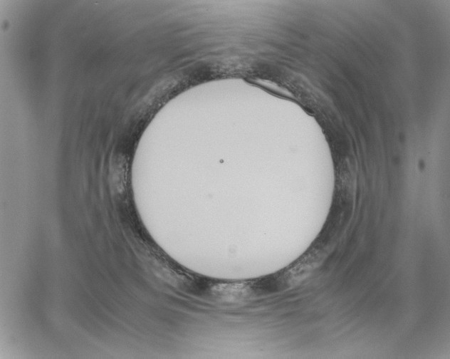 X0000062870133200602031726