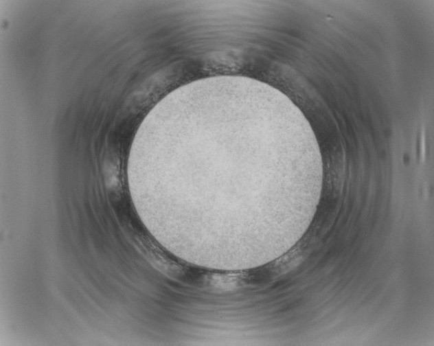 X0000062870134200602031726