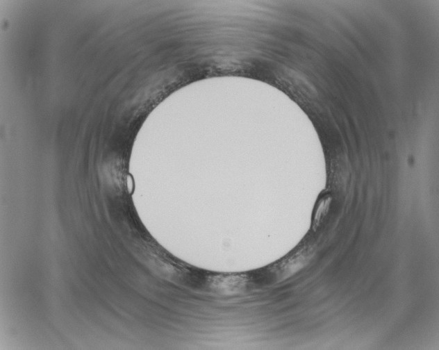 X0000062870135200602031726