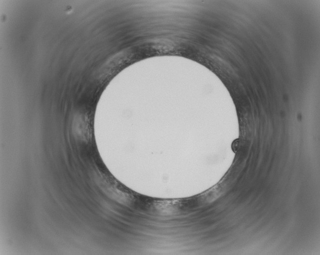 X0000062870136200602031726