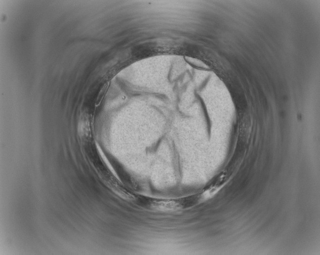 X0000062870137200602031726