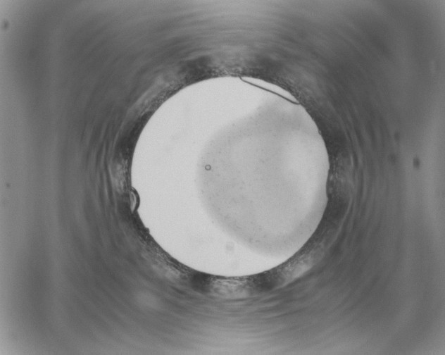 X0000062870139200602031726