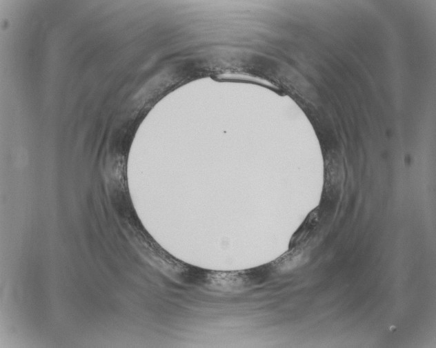 X0000062870141200602031726