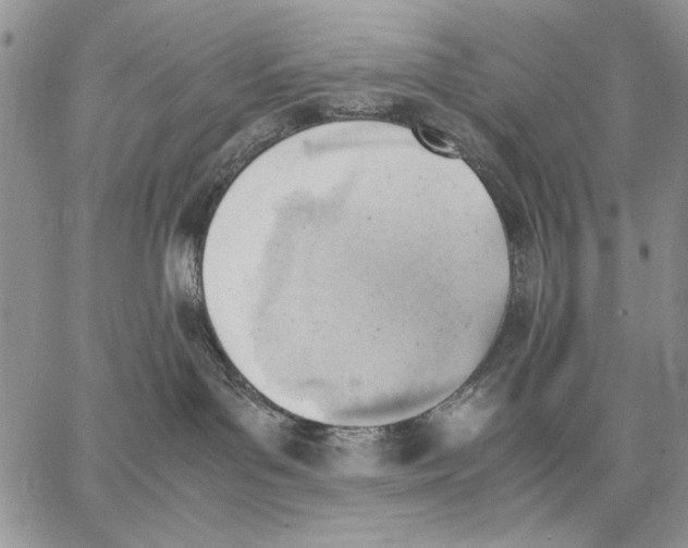 X0000062870143200602031726