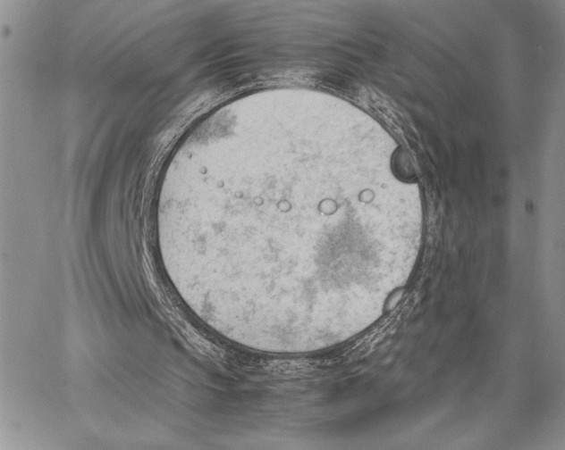 X0000062870145200602031725