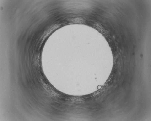 X0000062870146200602031725