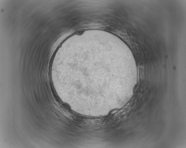 X0000062870147200602031725