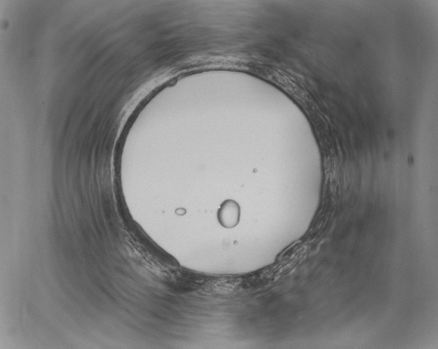 X0000062870148200602031725