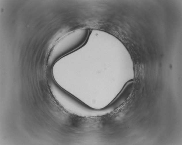 X0000062870150200602031725