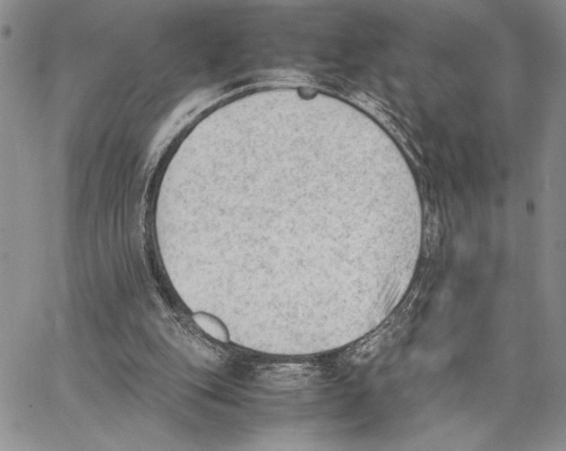 X0000062870151200602031725