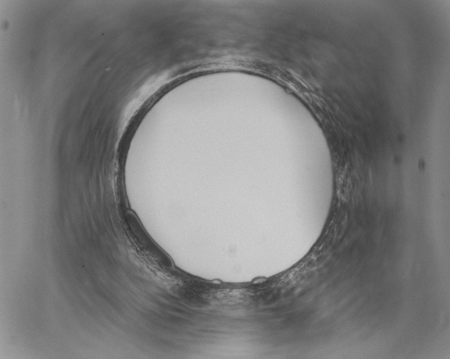 X0000062870152200602031725