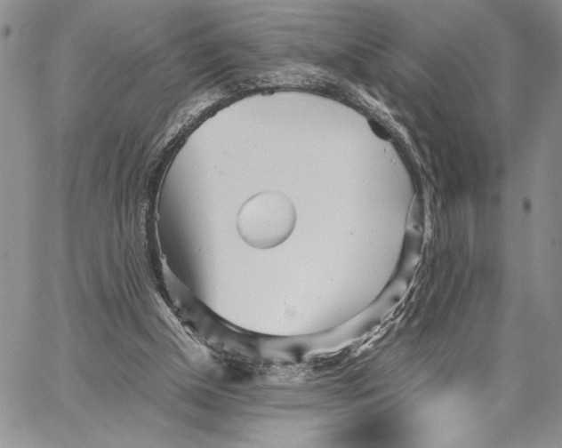 X0000062870154200602031725