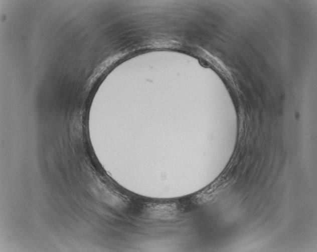 X0000062870155200602031725