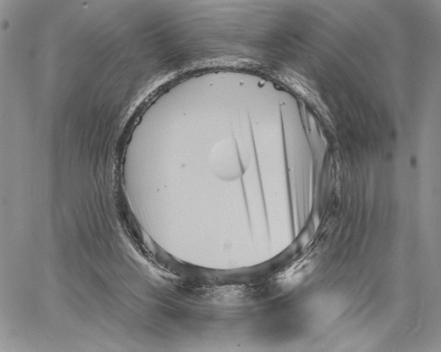 X0000062870156200602031725