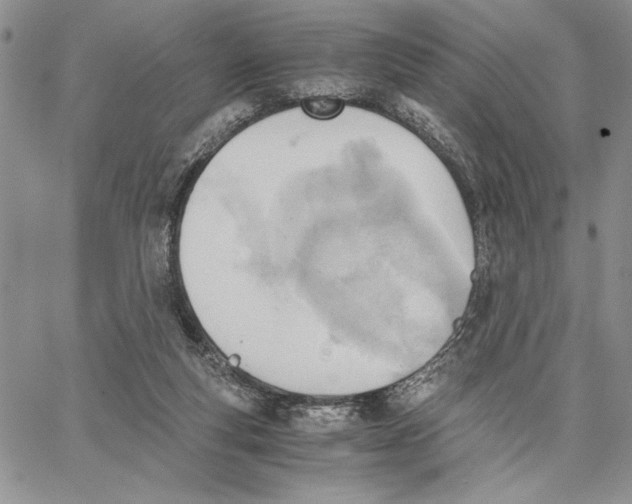 X0000062870163200602031725