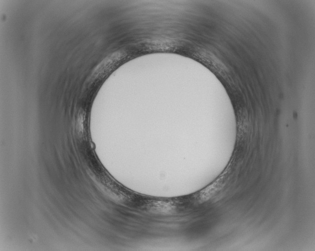 X0000062870166200602031725