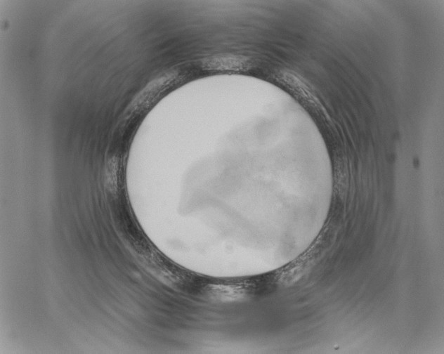 X0000062870167200602031725