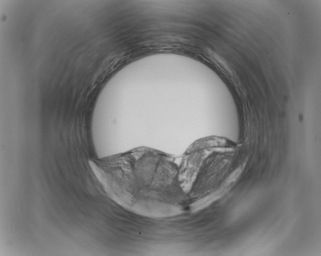 X0000062870169200602031725