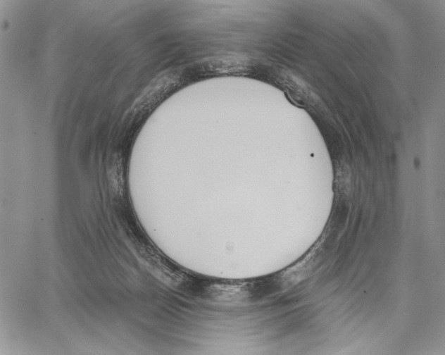 X0000062870170200602031725