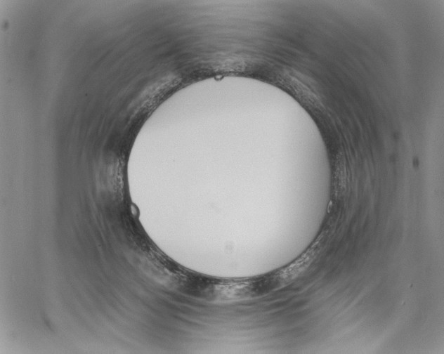 X0000062870172200602031726