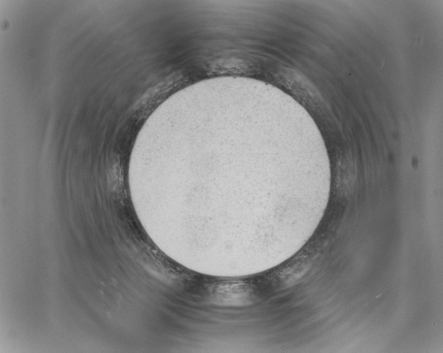 X0000062870173200602031726