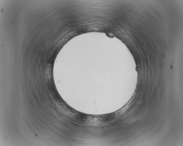 X0000062870174200602031726