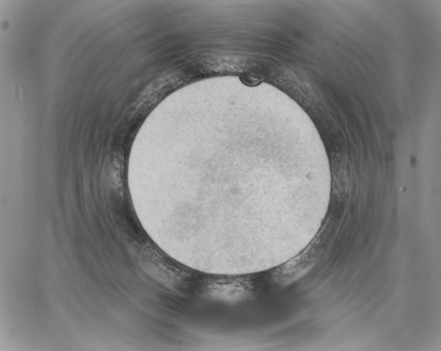 X0000062870175200602031726