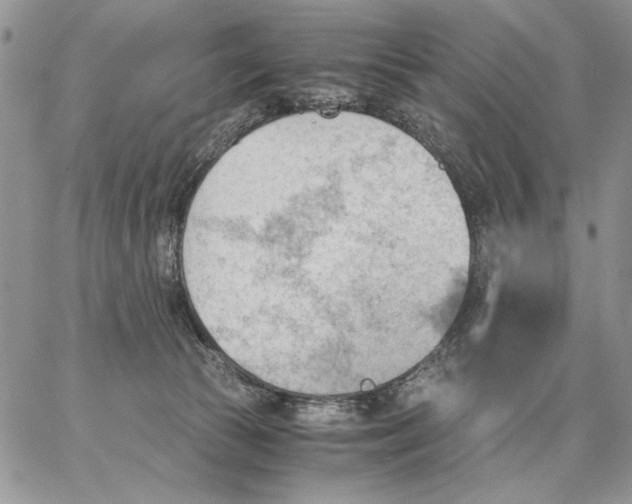 X0000062870177200602031726