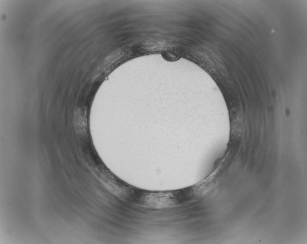 X0000062870179200602031726