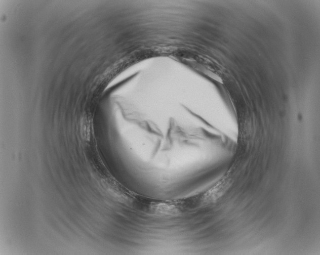 X0000062870180200602031726