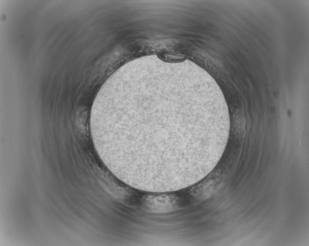 X0000062870181200602031726