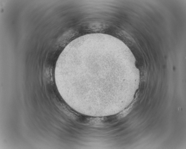 X0000062870182200602031726