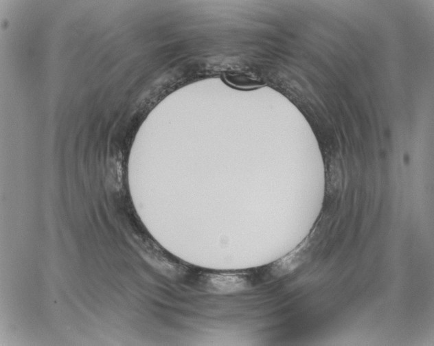 X0000062870183200602031726