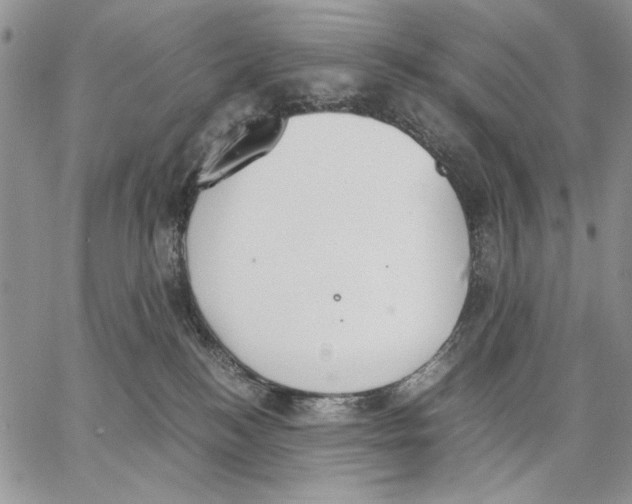 X0000062870184200602031726