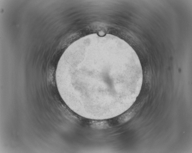 X0000062870185200602031726