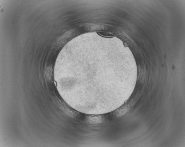 X0000062870189200602031726