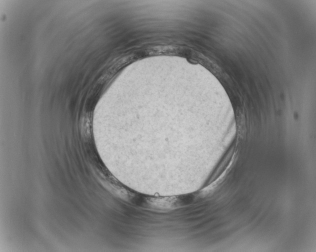 X0000062870191200602031726