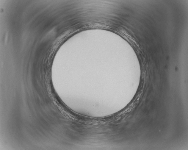 X0000062870193200602031725