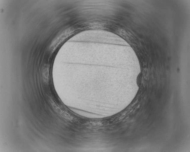 X0000062870194200602031725