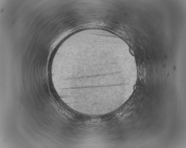 X0000062870196200602031725