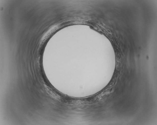 X0000062870197200602031725