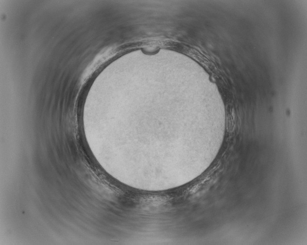 X0000062870198200602031725